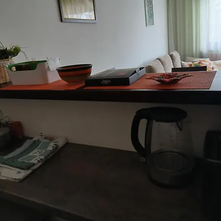 Nora Apartman Zlatibor