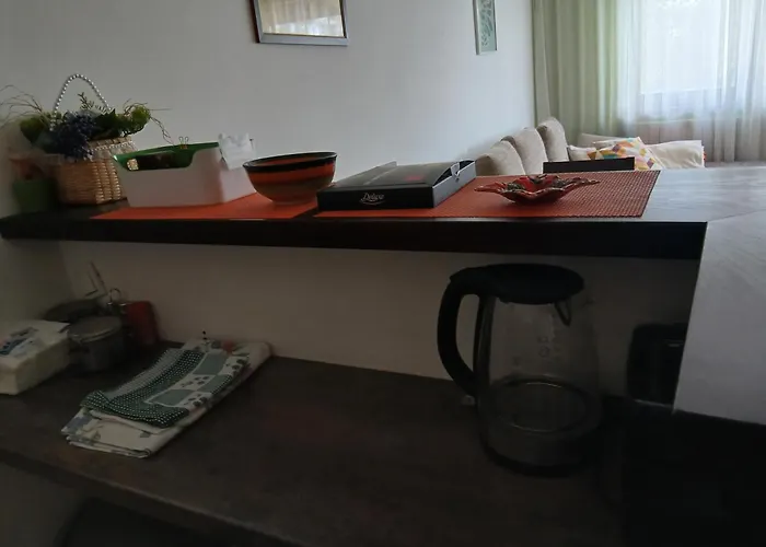 Nora 公寓 兹拉蒂博尔