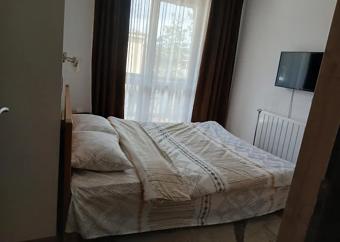 Nora * 兹拉蒂博尔