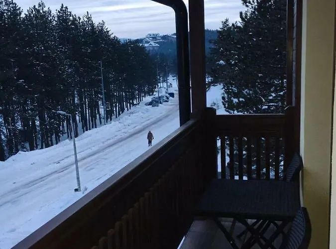 Nora 兹拉蒂博尔